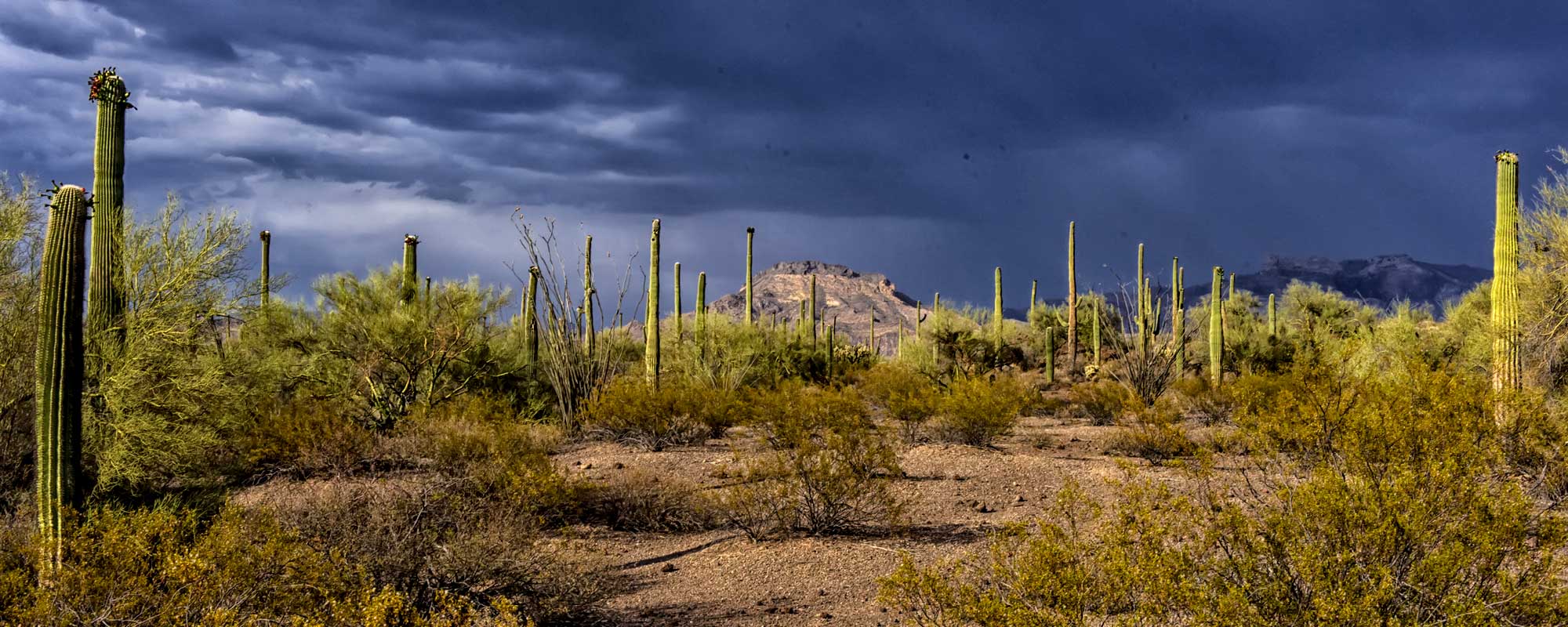 Home Copper Rose Realty, LLC